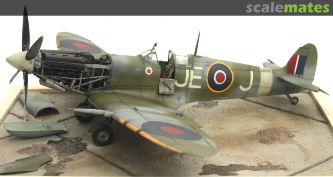 View album, image #1 View album, image #1