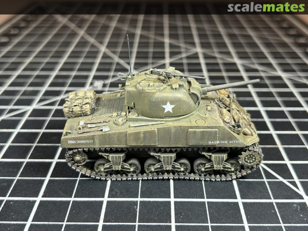 View album, image #1 View album, image #1