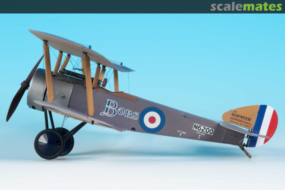 View album, image #9