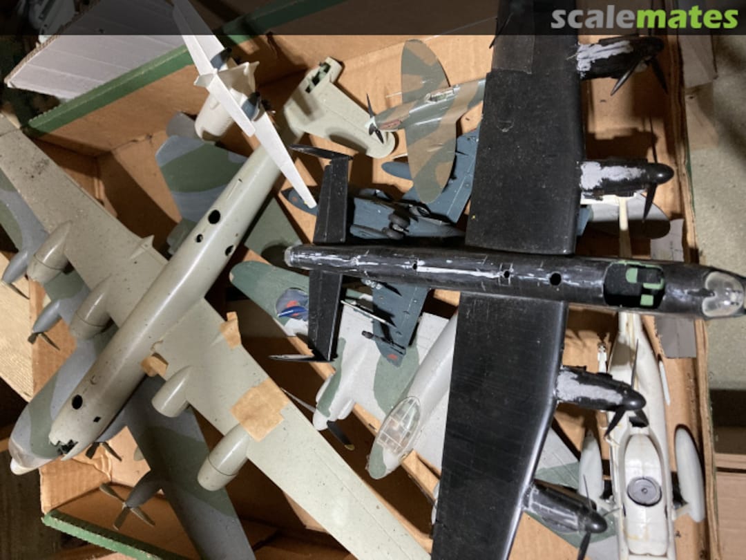 View album, image #1