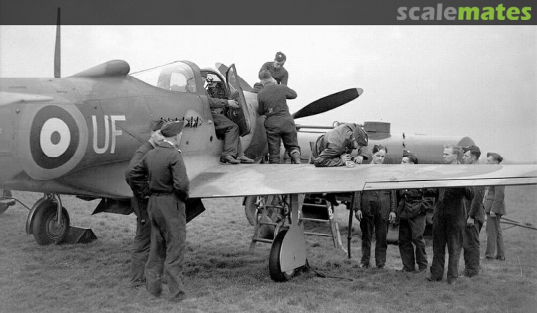 View album, image #94 View album, image #94