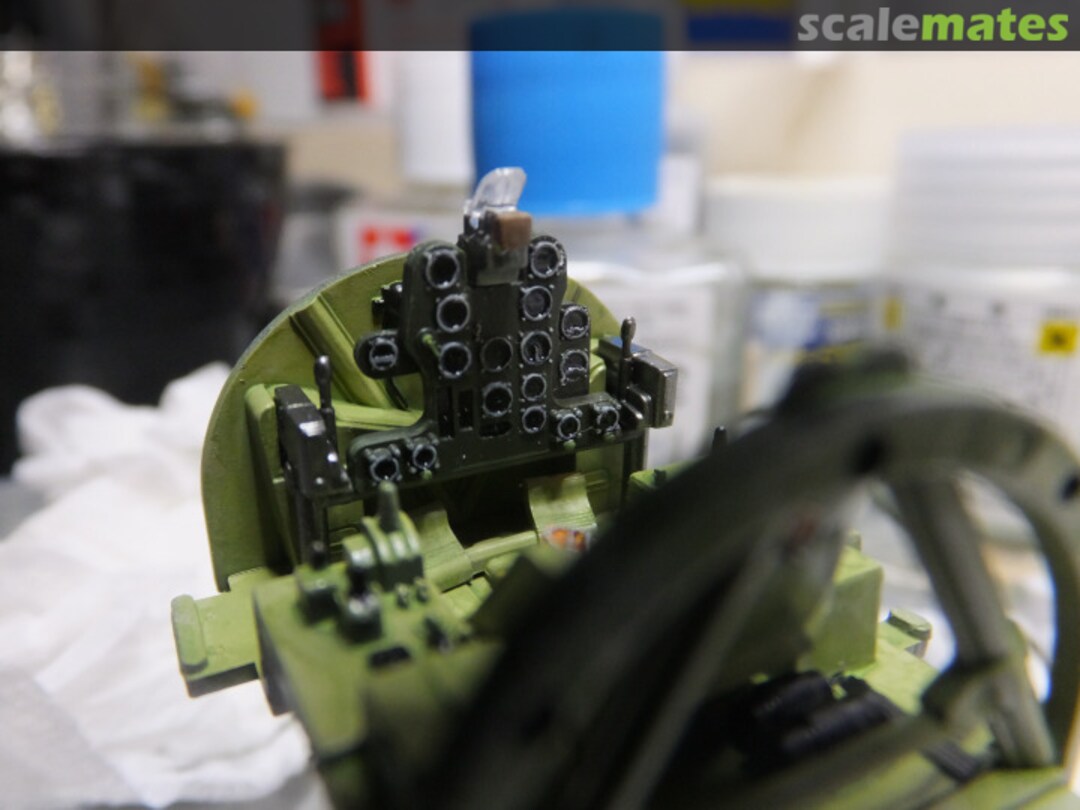 View album, image #1 View album, image #1