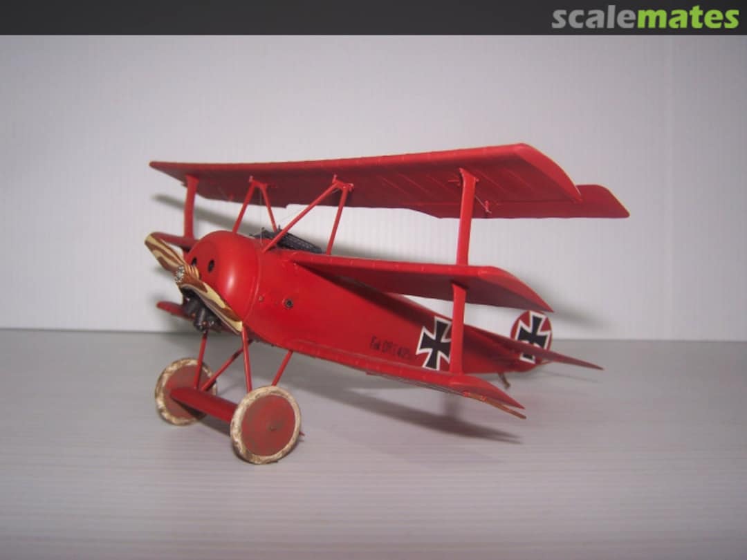 View album, image #1 View album, image #1