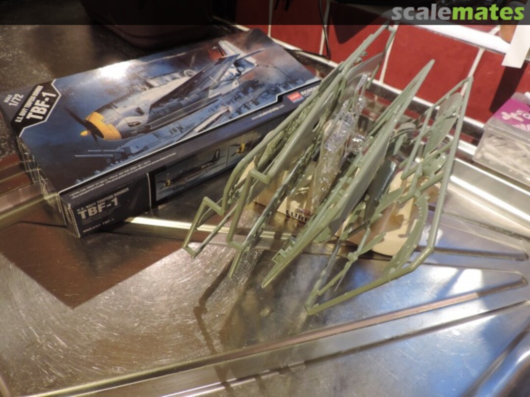 View album, image #1