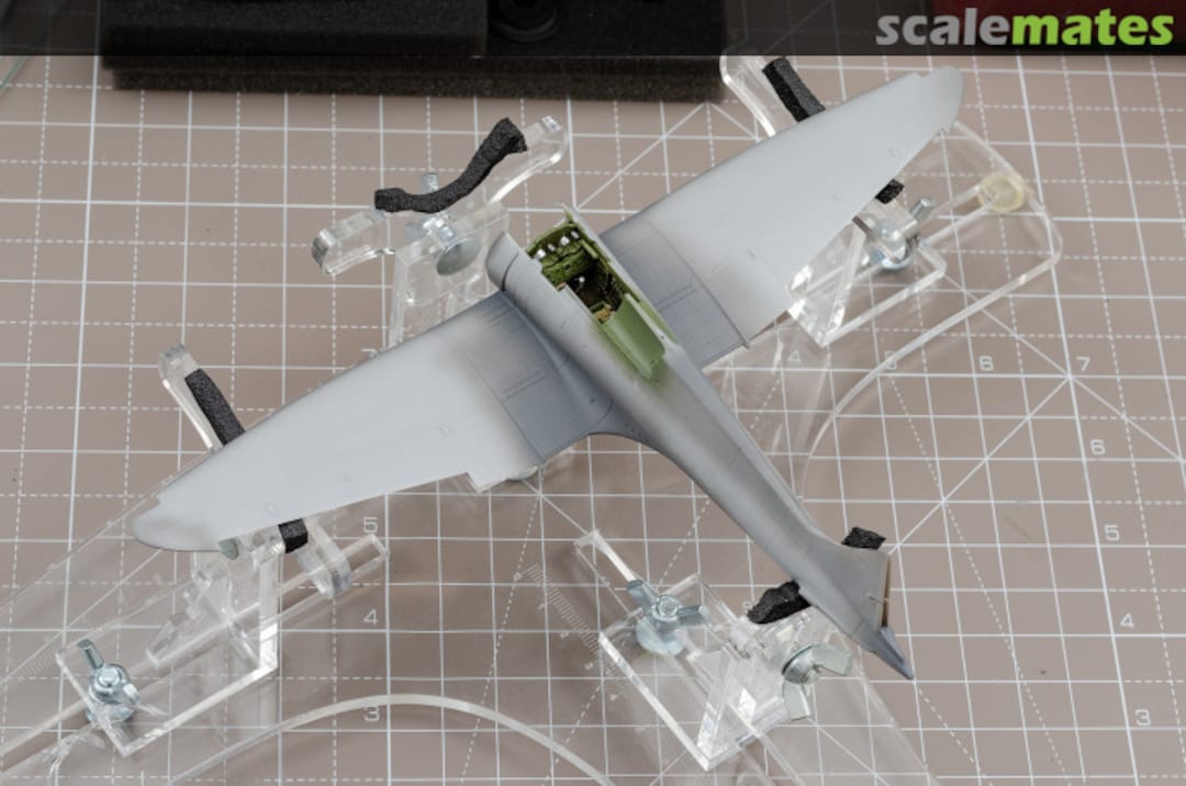 View album, image #1 View album, image #1