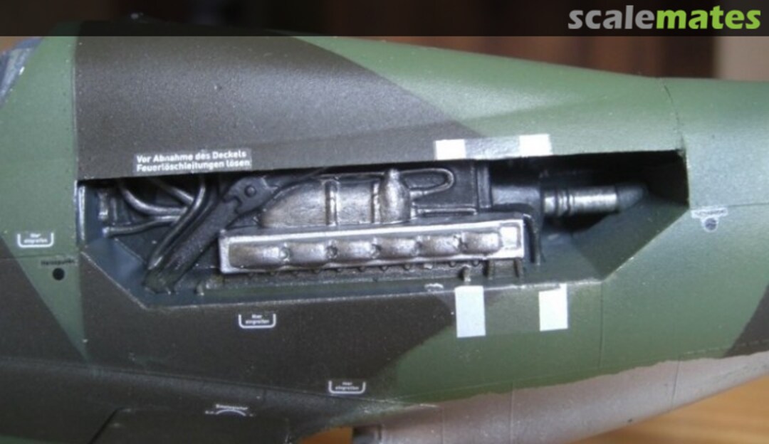 View album, image #7 View album, image #7