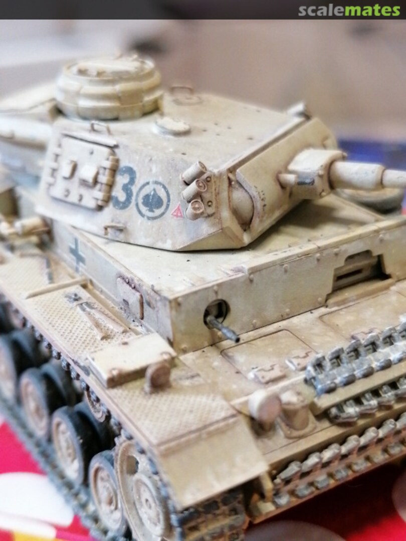 View album, image #1 View album, image #1