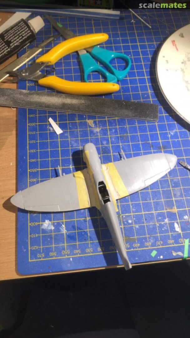 View album, image #5 View album, image #5