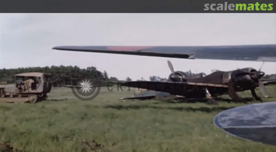 View album, image #20 View album, image #20