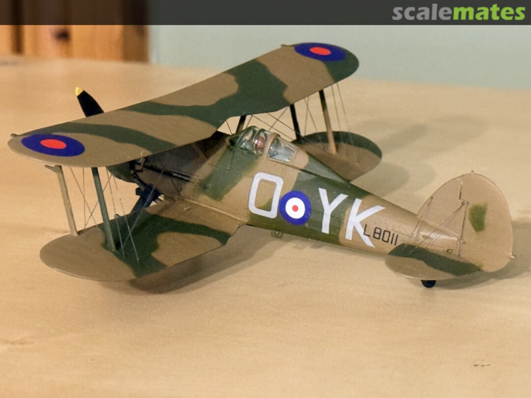 View album, image #1 View album, image #1