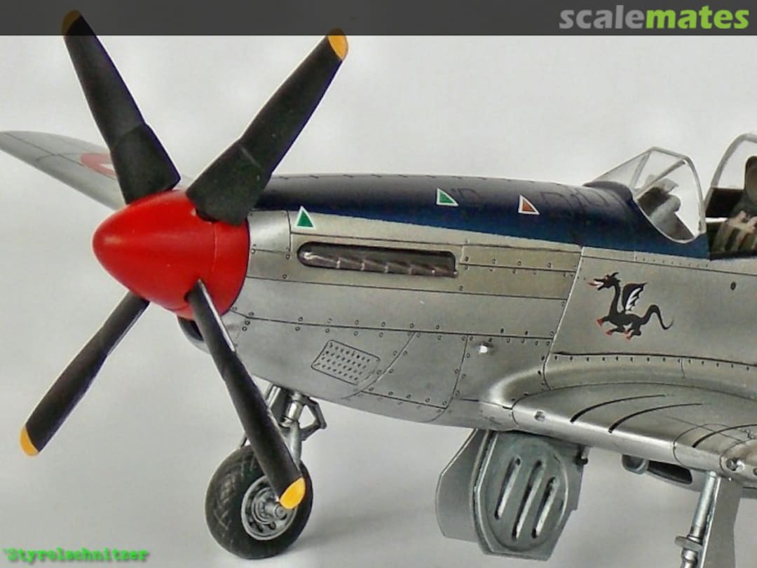 View album, image #10 View album, image #10