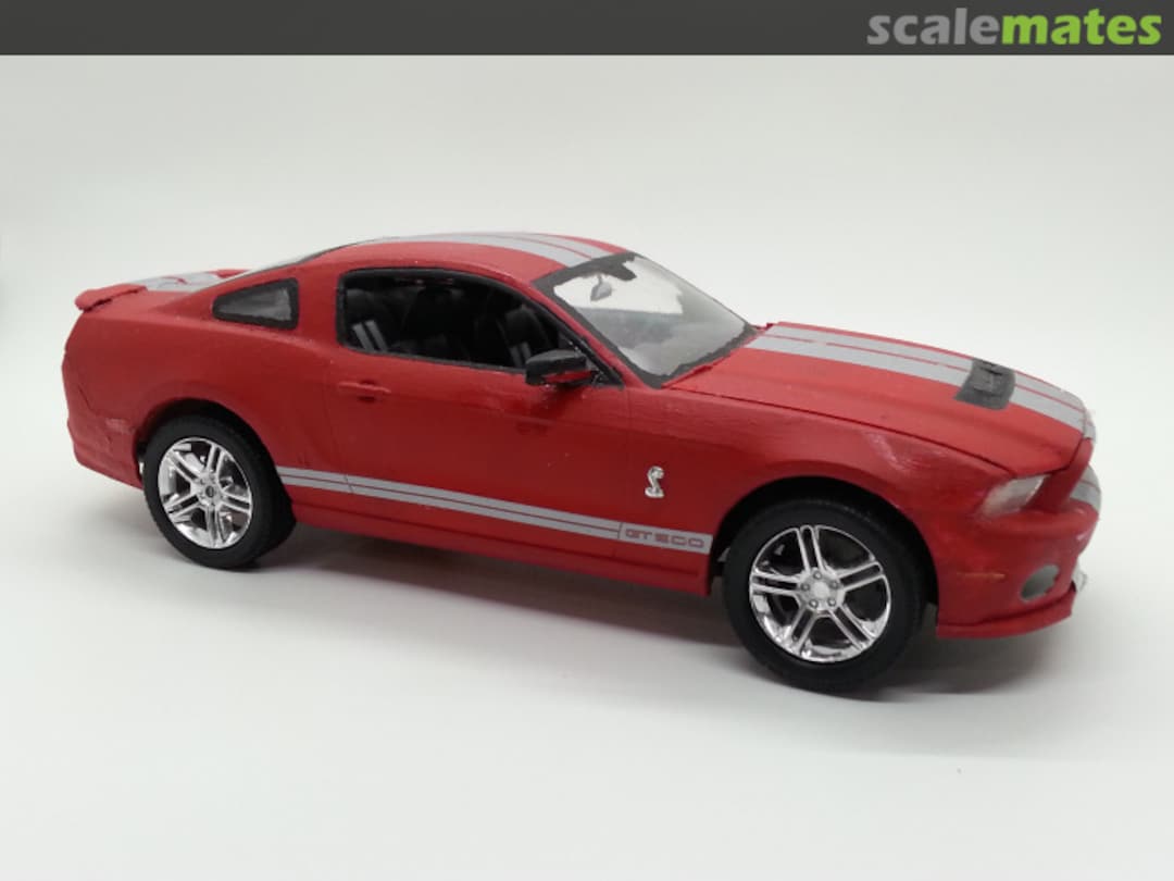 View album, image #3 View album, image #3