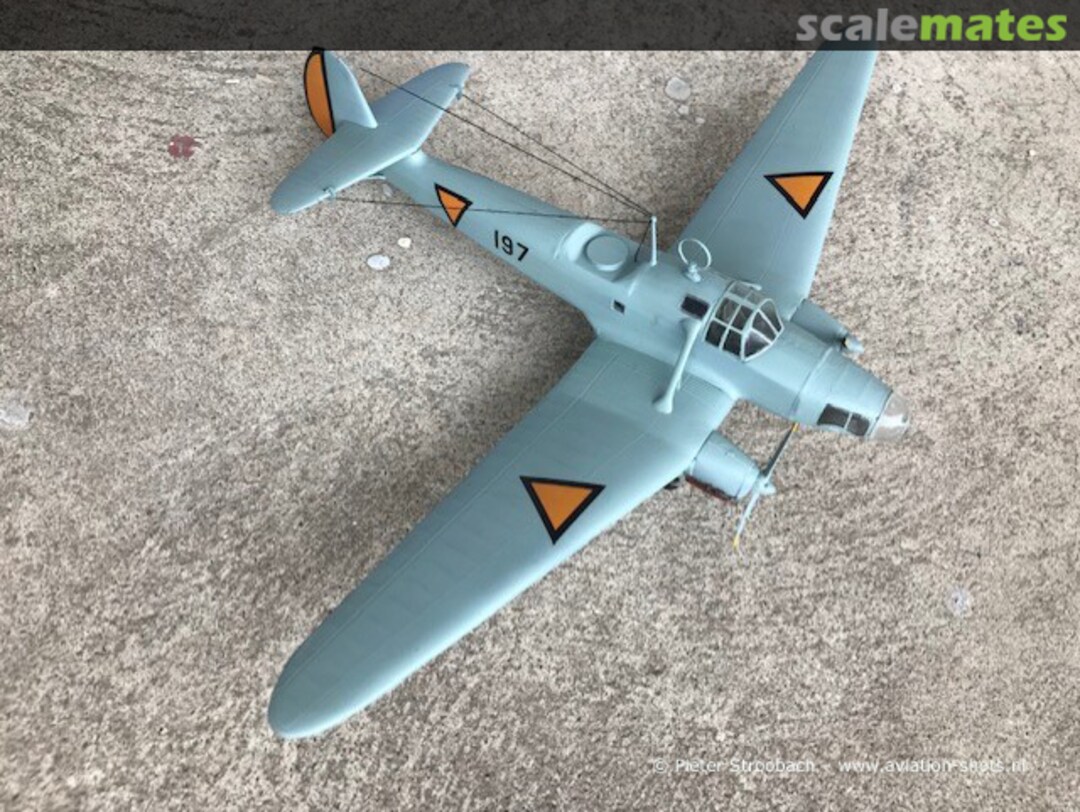 View album, image #1 View album, image #1