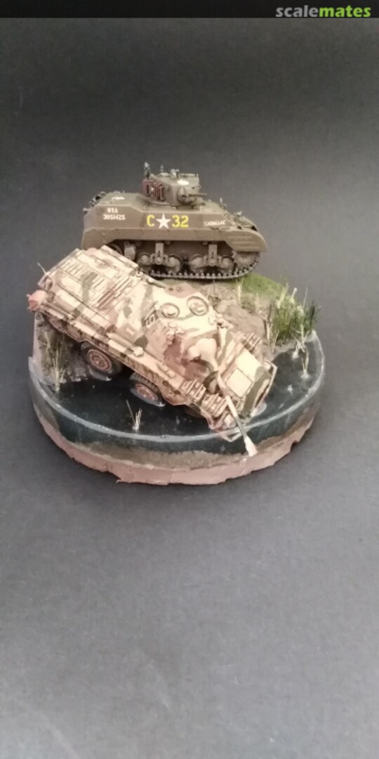 View album, image #10 View album, image #10