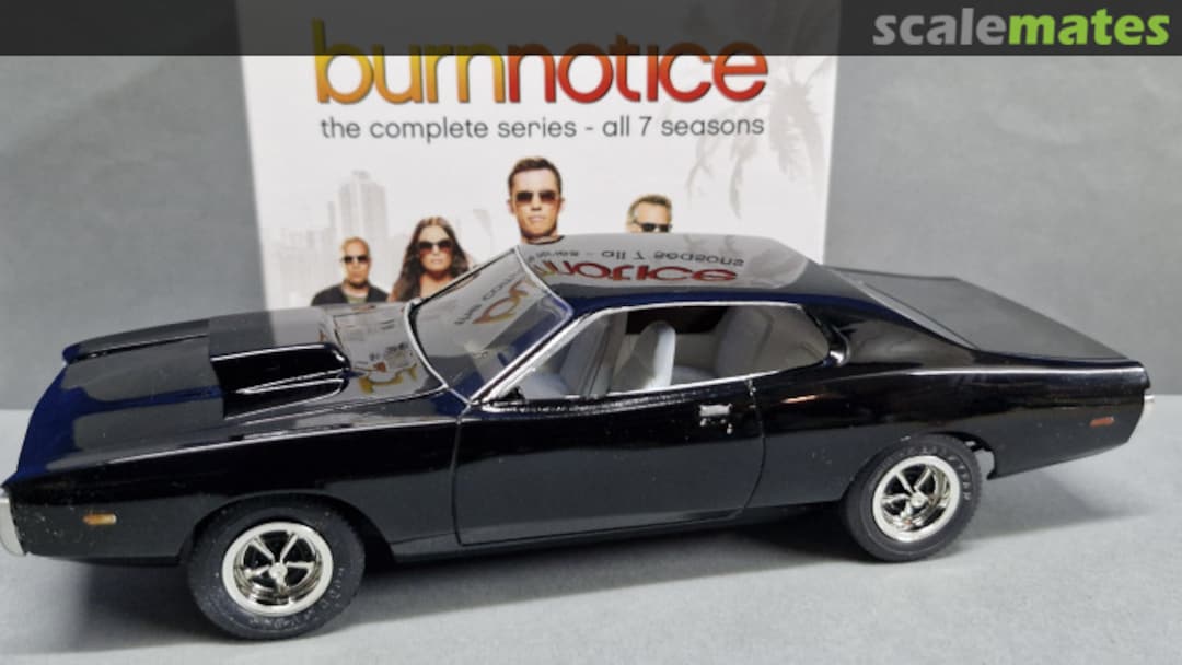 View album, image #15 View album, image #15