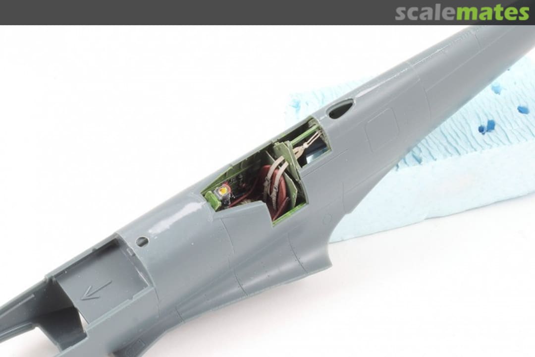 View album, image #7 View album, image #7