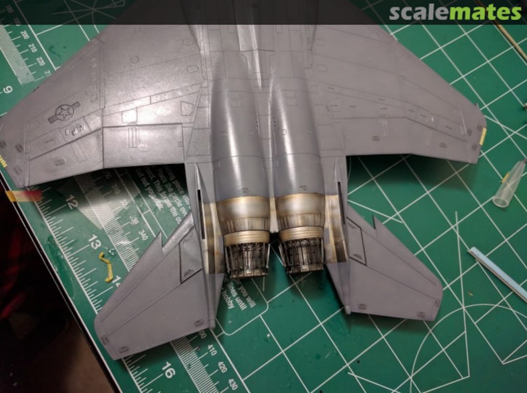 View album, image #24 View album, image #24