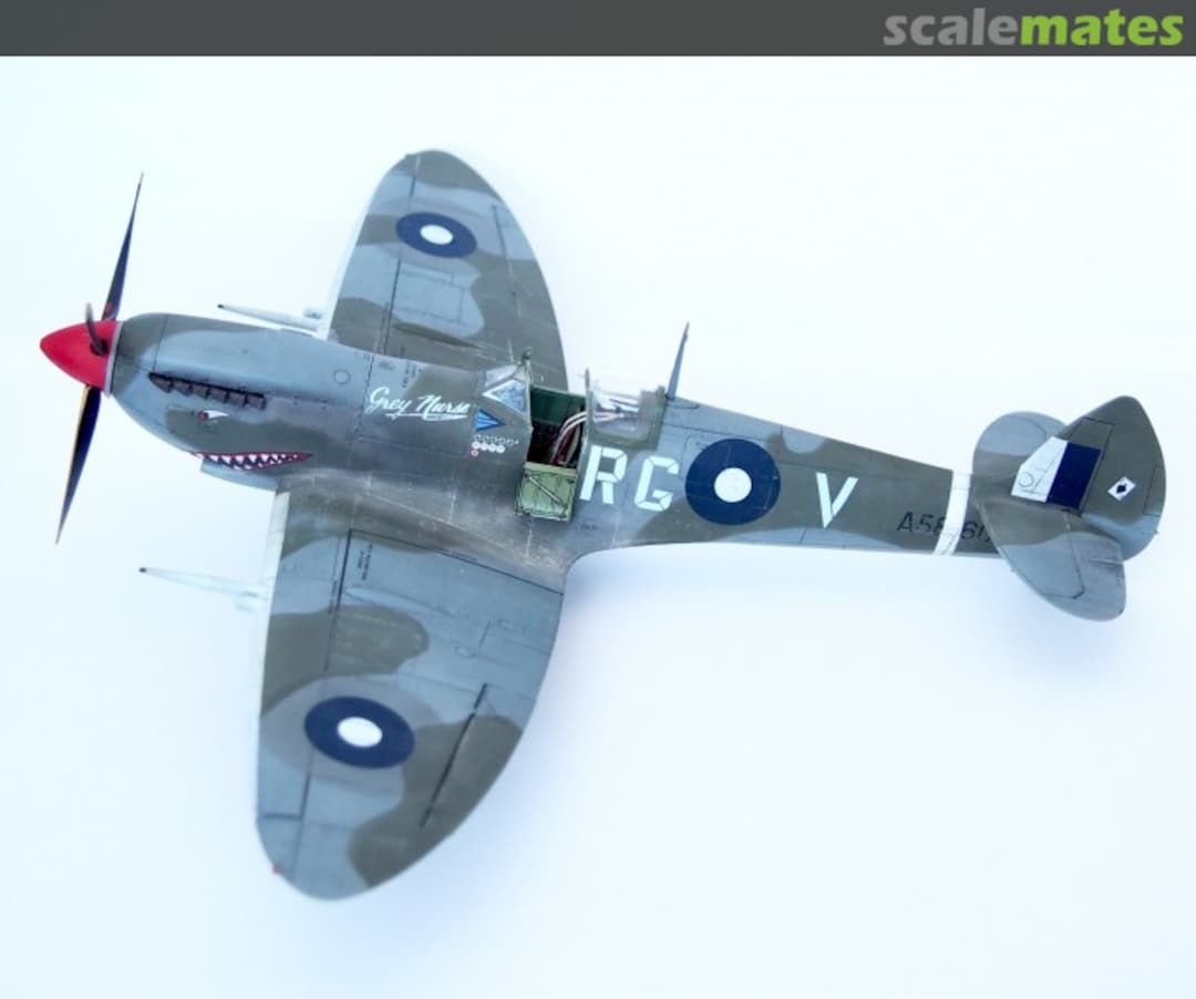 View album, image #1 View album, image #1