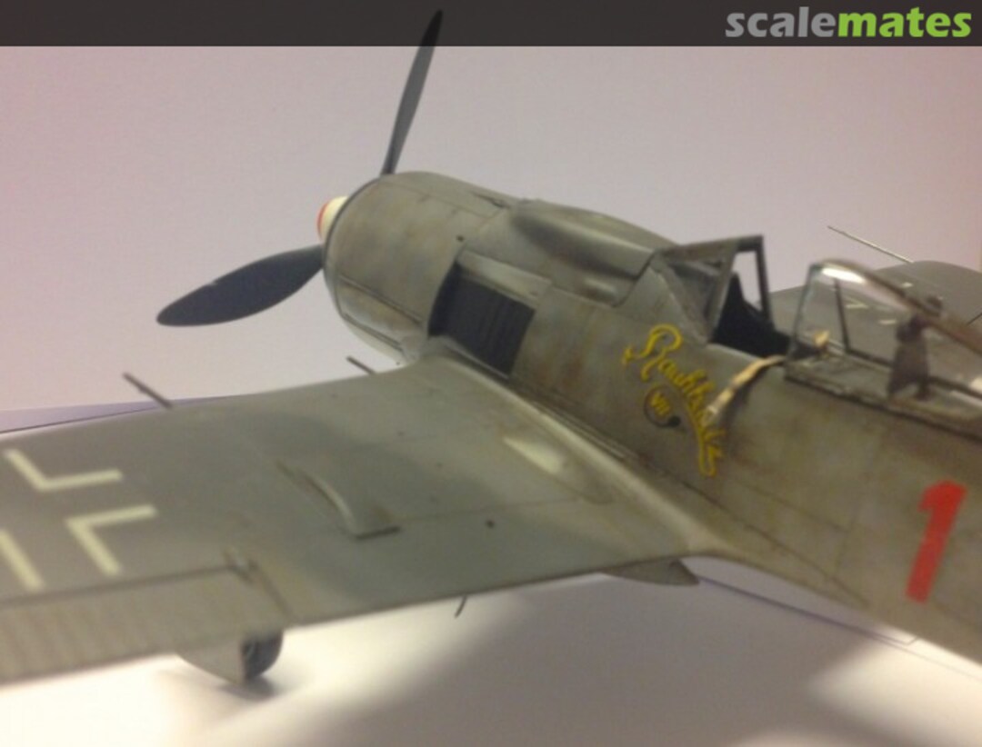 View album, image #1