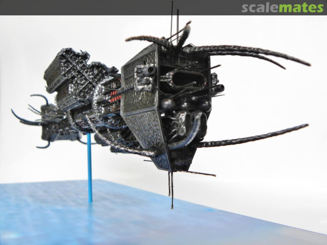 View album, image #6 View album, image #6