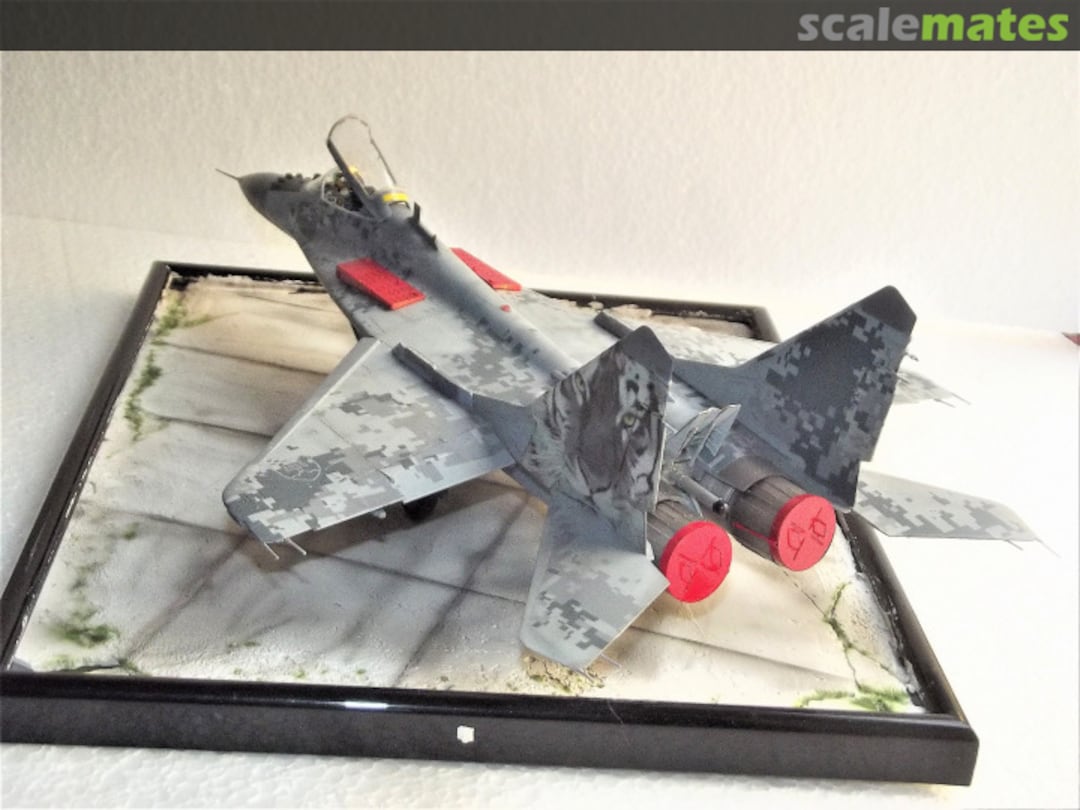 View album, image #1 View album, image #1