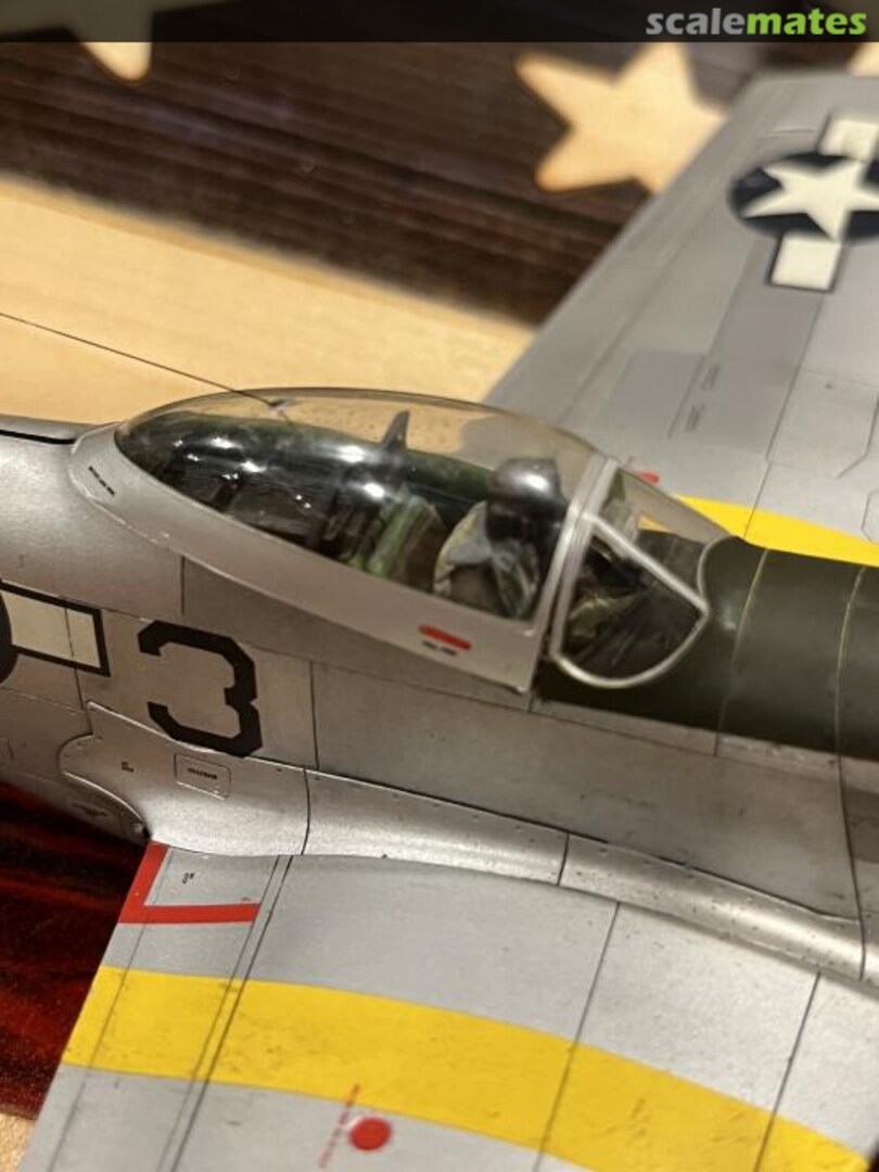 View album, image #1 View album, image #1