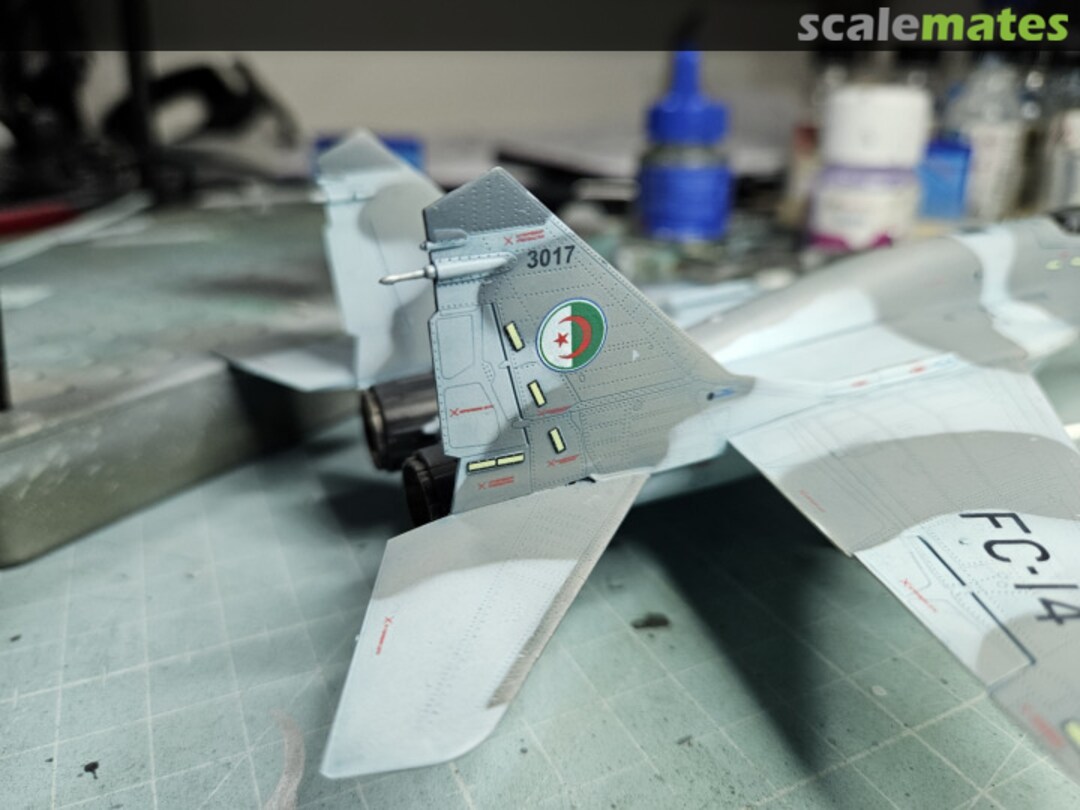 View album, image #1 View album, image #1