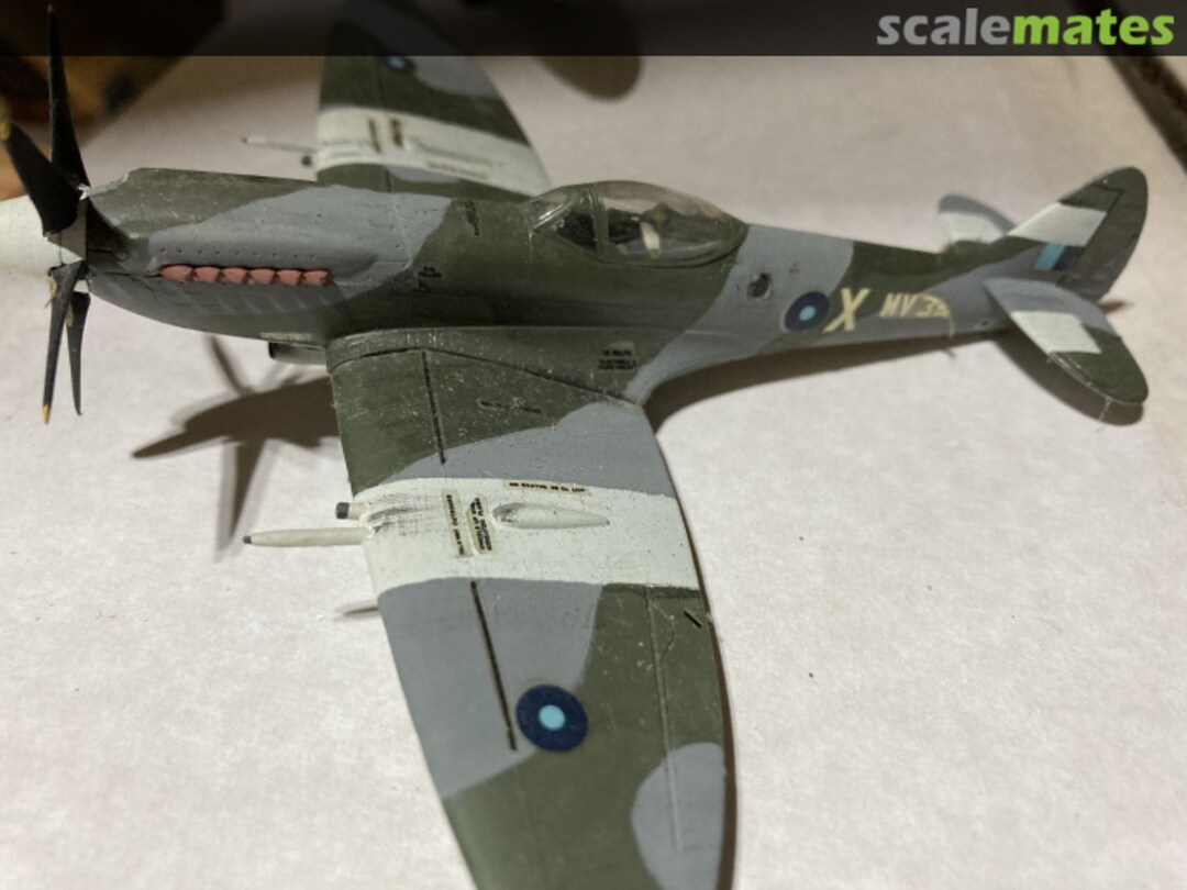 View album, image #1 View album, image #1