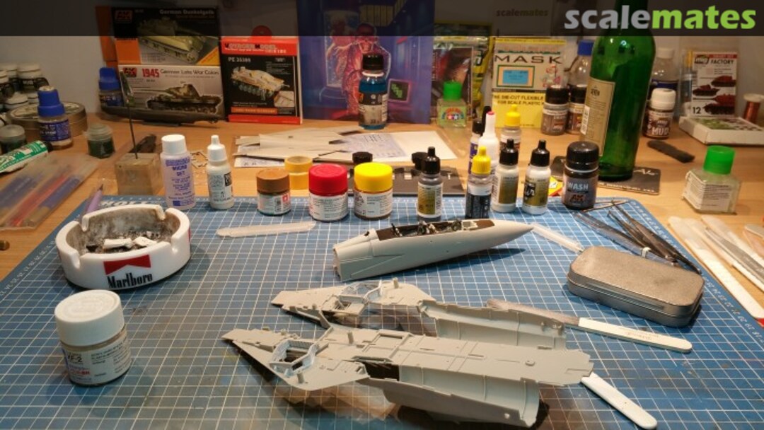 View album, image #2 View album, image #2