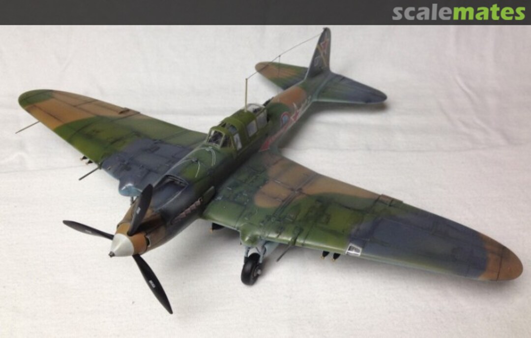 View album, image #1 View album, image #1