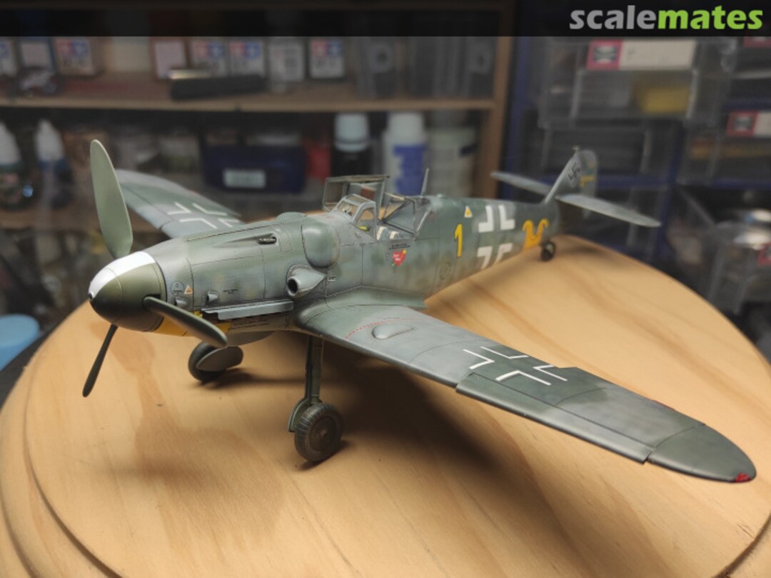 View album, image #1 View album, image #1