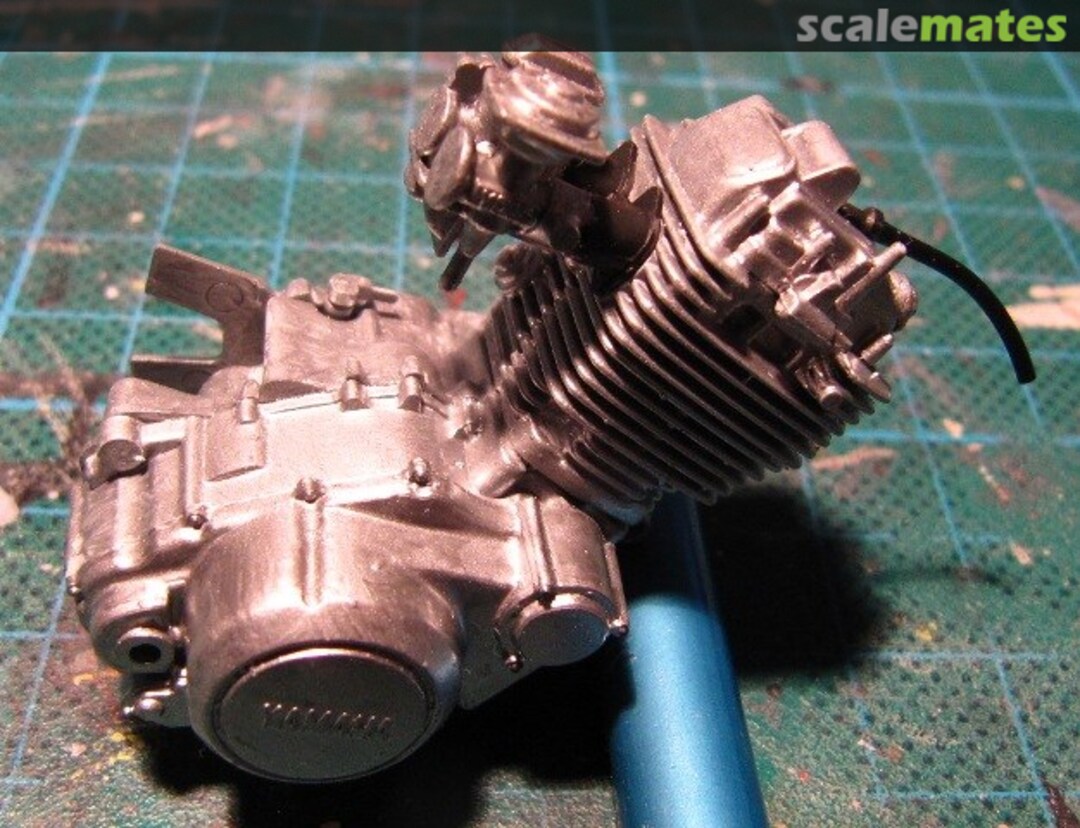 View album, image #1 View album, image #1