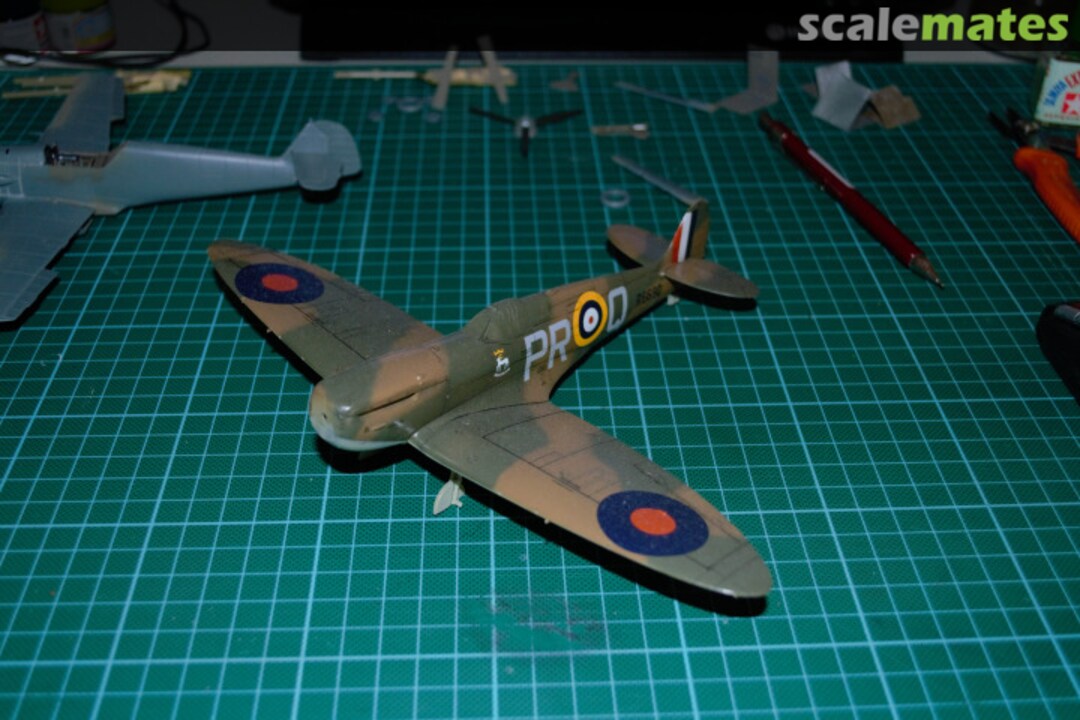 View album, image #1 View album, image #1