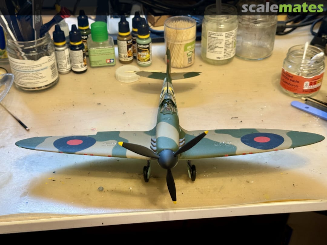 View album, image #1 View album, image #1