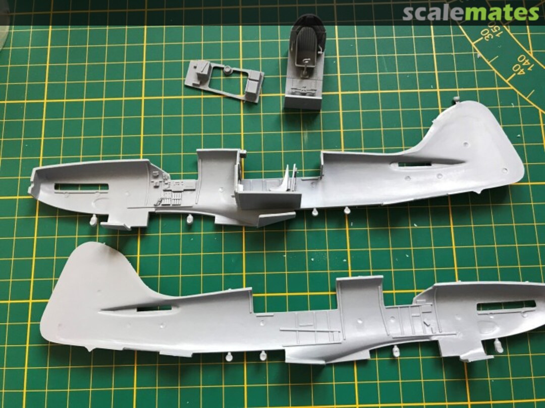 View album, image #1