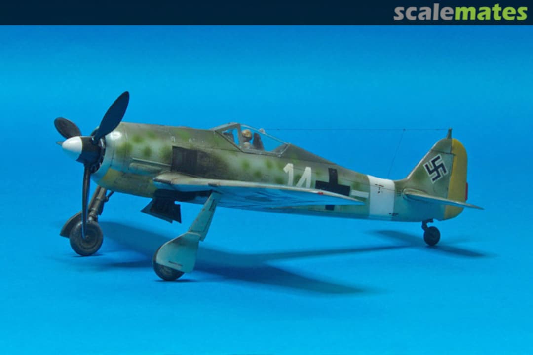 View album, image #1 View album, image #1