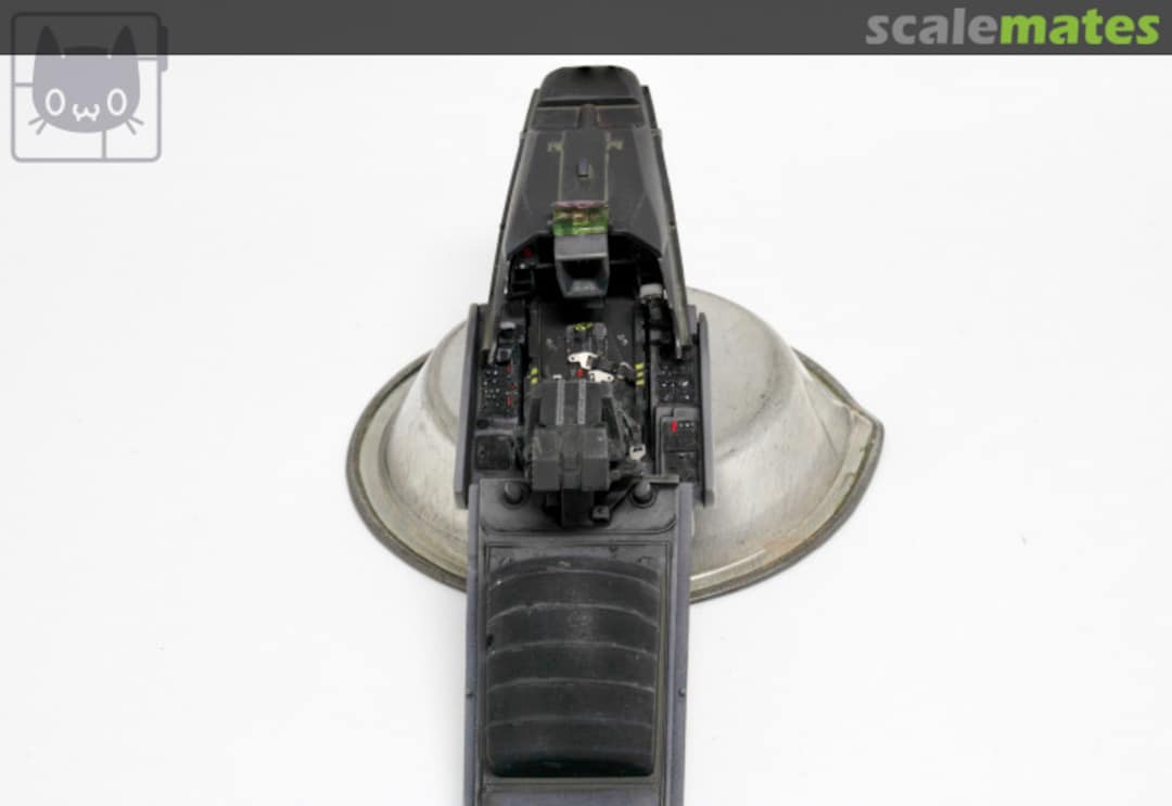 View album, image #1 View album, image #1