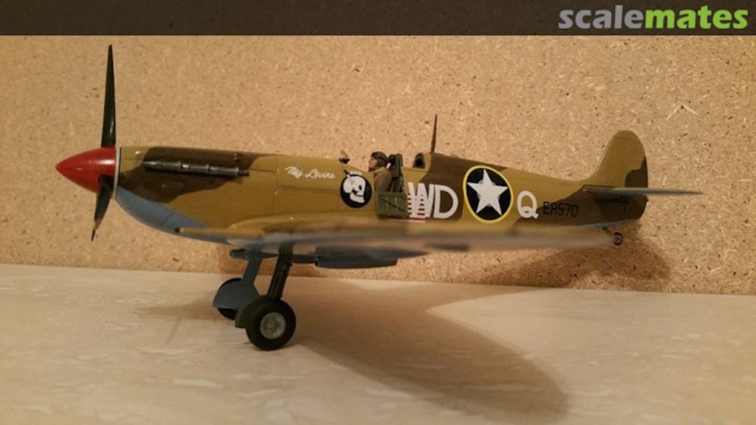 View album, image #1 View album, image #1