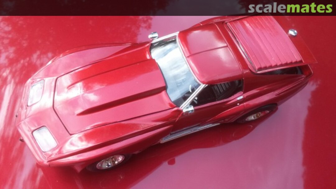 View album, image #1 View album, image #1