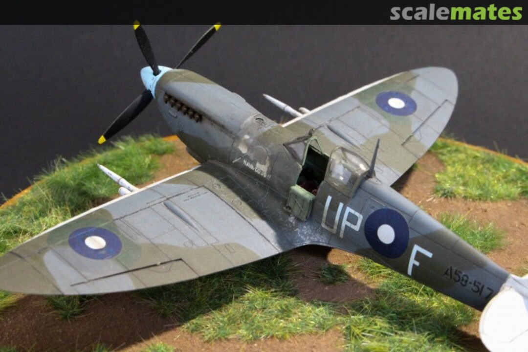 View album, image #5