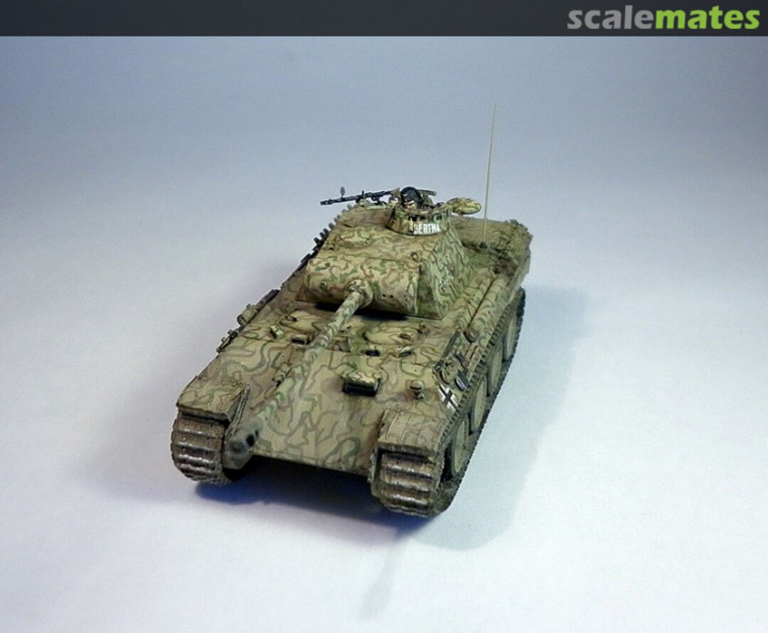 View album, image #1 View album, image #1