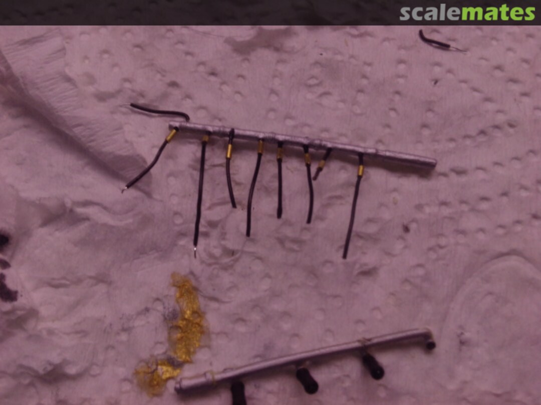 View album, image #1