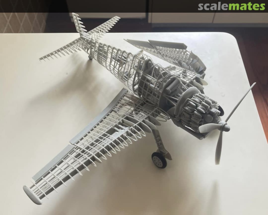 View album, image #5 View album, image #5