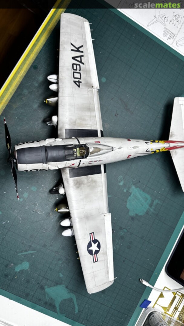 View album, image #1 View album, image #1