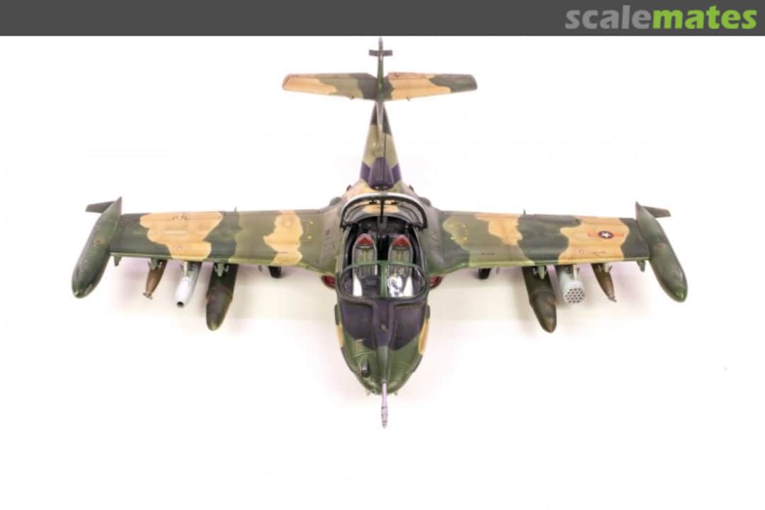 View album, image #11