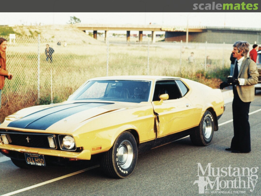 View album, image #3 View album, image #3