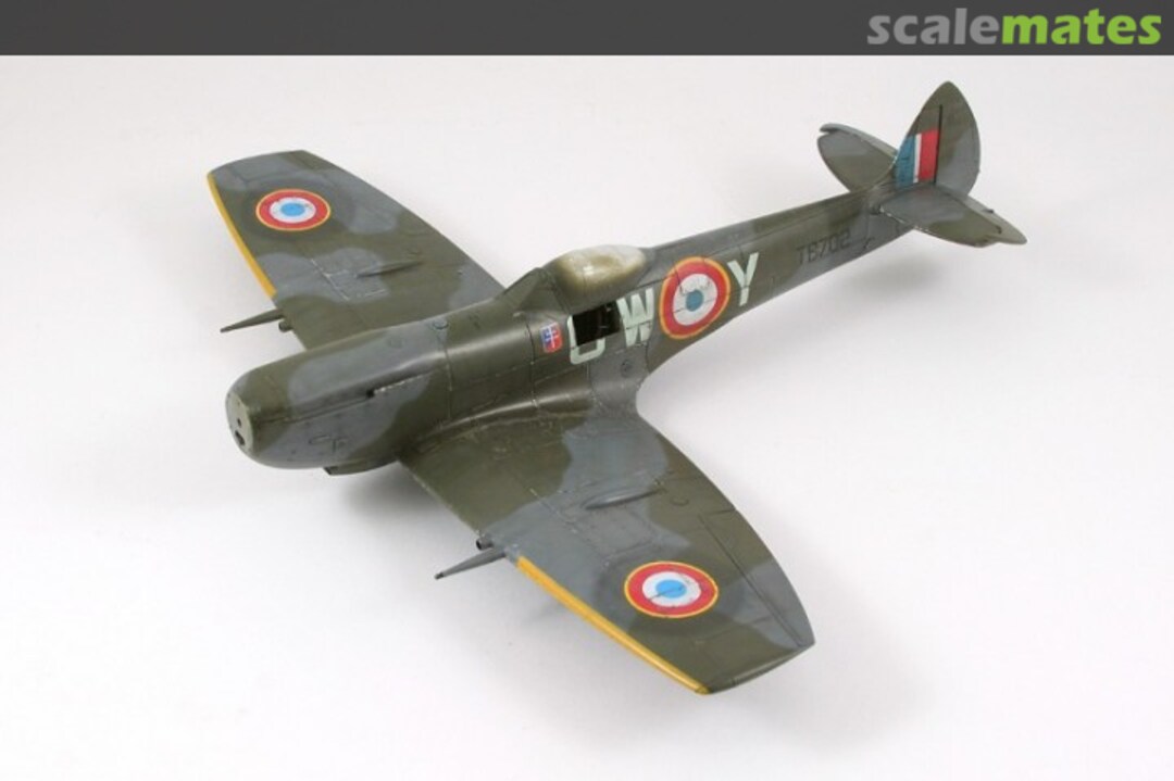 View album, image #7 View album, image #7