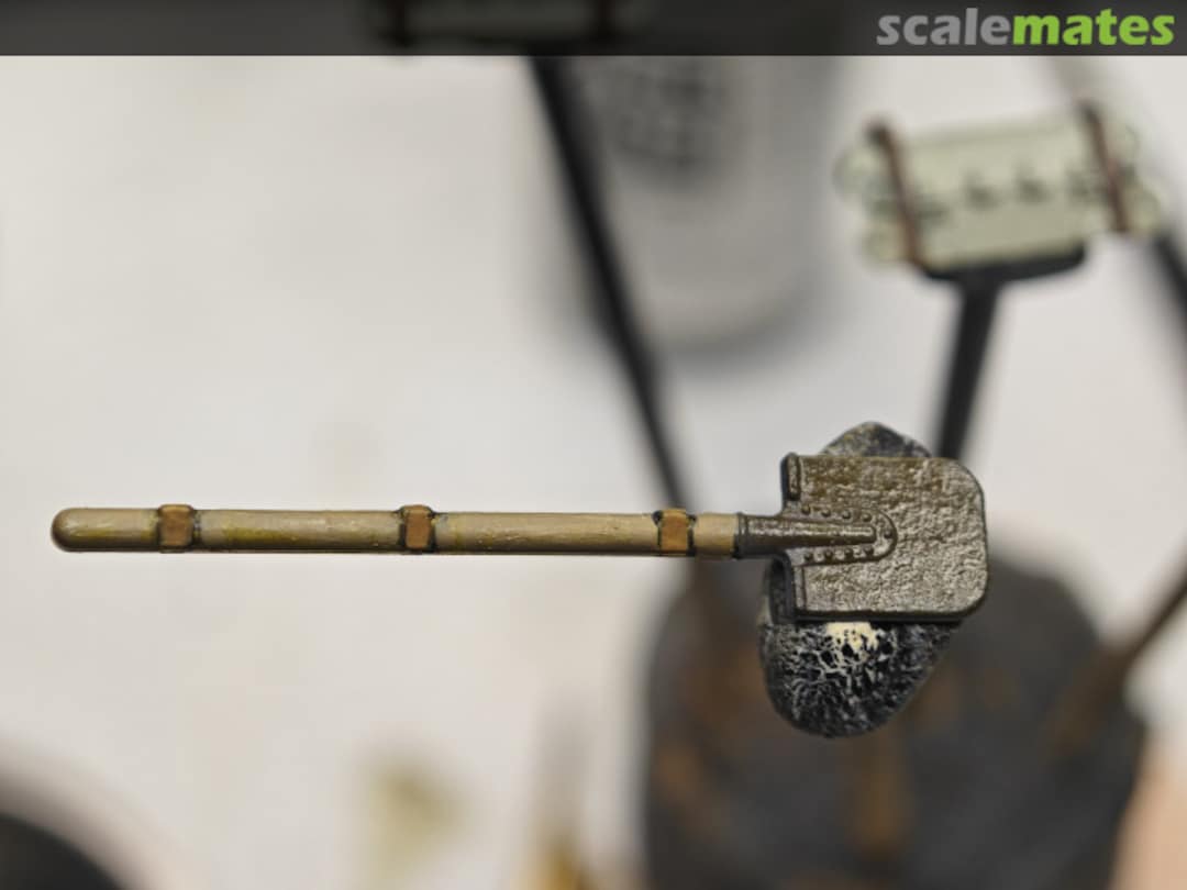 View album, image #1 View album, image #1