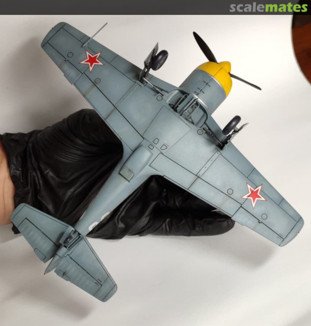 View album, image #1 View album, image #1