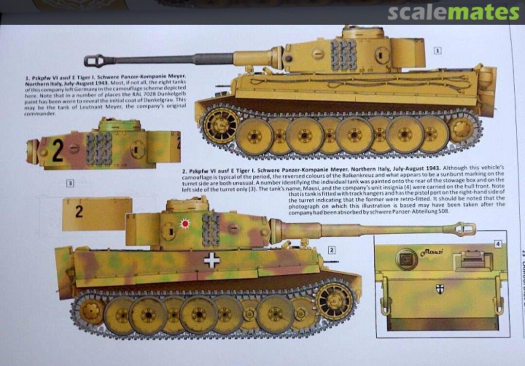 View album, image #1 View album, image #1